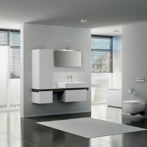 Tủ chậu rửa nhà vệ sinh 03
